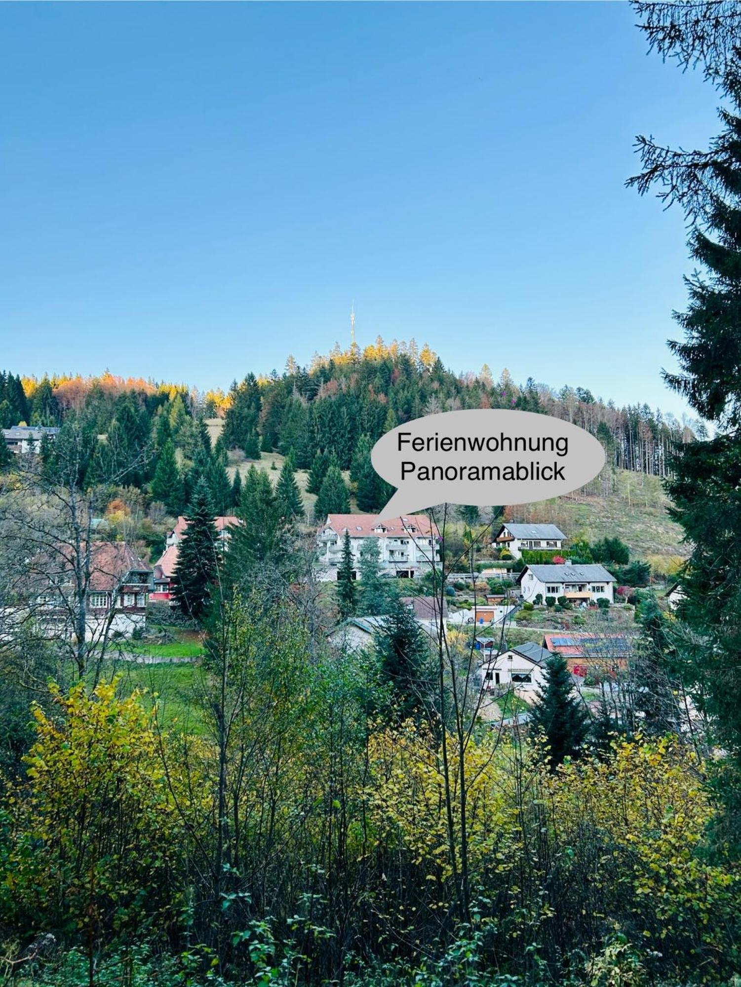 Panoramablick *